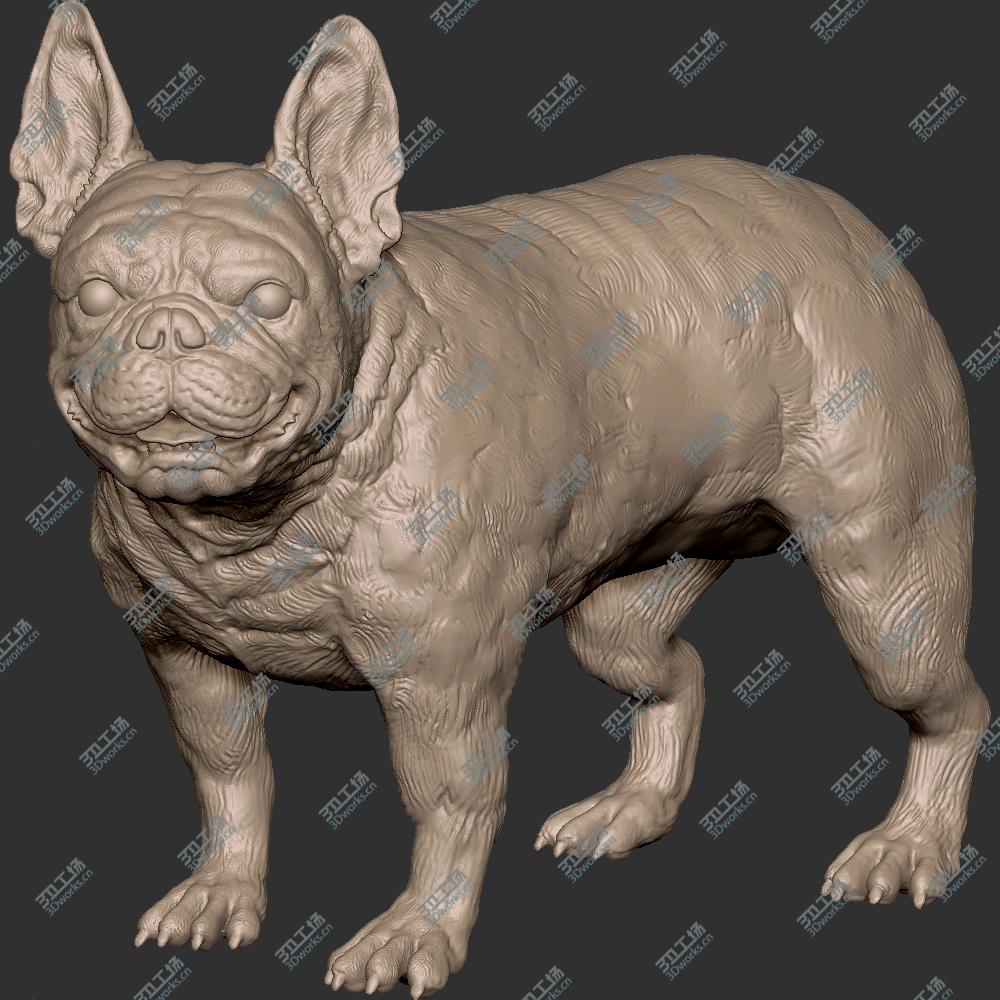 images/goods_img/20200601/231 狼 狗 犬 斗牛犬 恶霸犬 STL 手办 3D扫描 3D打印 雕像 高模 雕塑 zbrush/1.jpg